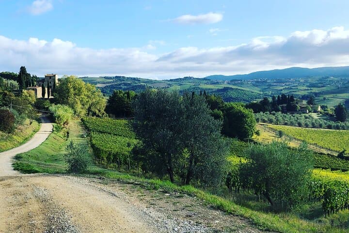 Chianti Classico Hiking and Organic Wine Tasting: 3 Wineries & Lunch photo 4