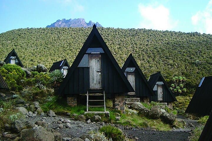 7-Day Machame Route Kilimanjaro: A Practical Guide to Reaching Uhuru Peak photo 2