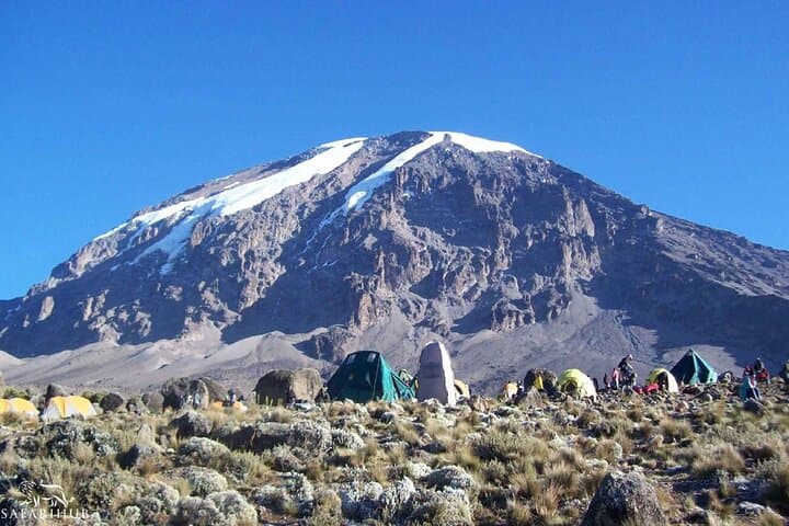 7-Day Machame Route Kilimanjaro: A Practical Guide to Reaching Uhuru Peak photo 3