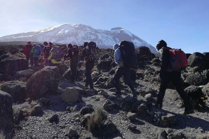 7-Day Machame Route Kilimanjaro: A Practical Guide to Reaching Uhuru Peak photo 5