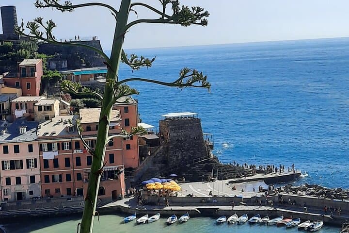 Cinque Terre Day Tour from Montecatini Terme: Small-Group Coastal Villages & Train photo 3