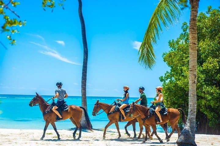 Swim with Horses in Punta Cana: Beach Horseback Ride and Indigenous Eyes Lagoon photo 2