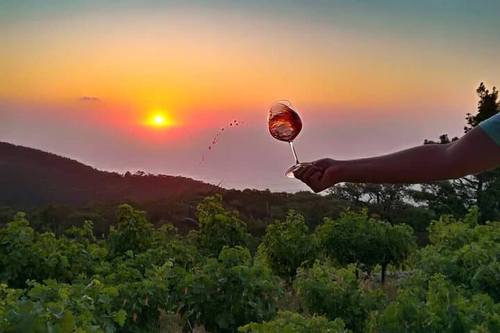 Karimalis Winery Tour Ikaria: Vineyard Walk and Traditional Wine Tasting photo 4