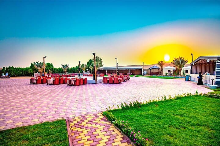 Desert Safari Dubai: Dune Bashing, BBQ Dinner & Live Shows photo 6
