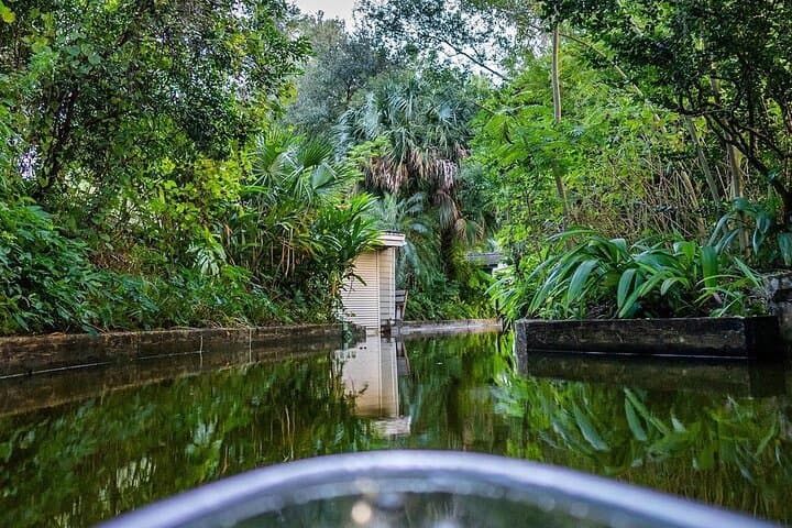 Clear Kayak Tour on the Winter Park Chain of Lakes — Guided Day Paddle photo 3