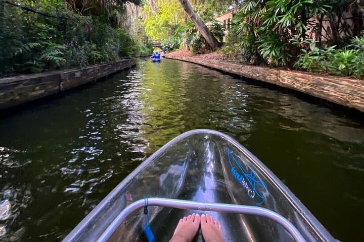 Clear Kayak Tour on the Winter Park Chain of Lakes — Guided Day Paddle photo 4
