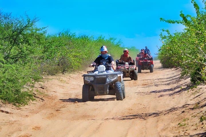 Run Baja 1000 Trails on a Half-Day ATV near San José del Cabo photo 4