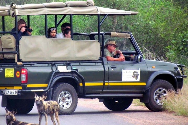Sunset Safari in Kruger National Park — Evening Game Drive Near Hazyview photo 3