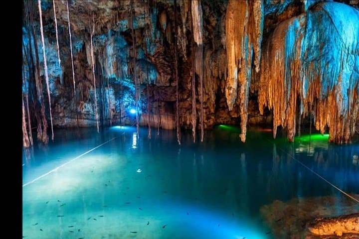 Montego Bay Luminous Lagoon Night Boat Tour — Swim with Bioluminescence photo 4