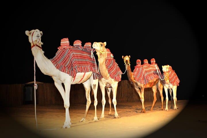 Sunset Dune Bashing: Private Desert Safari with Camel Ride & Live BBQ in Dubai photo 3