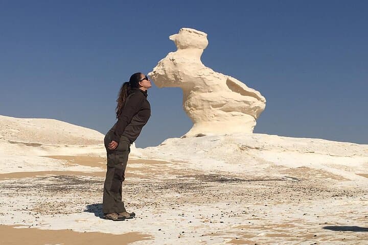 Private Bahariya Oasis & Black and White Desert Day Trip from Cairo photo 6