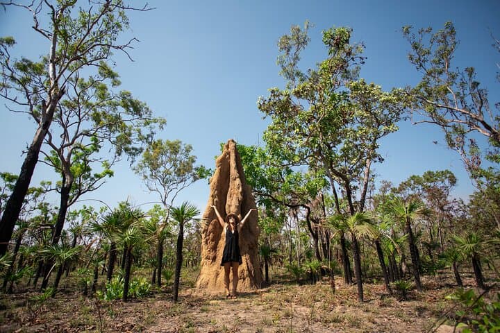 Litchfield National Park Day Tour — Waterfalls, Wetlands & Jumping Crocodiles from Darwin photo 2
