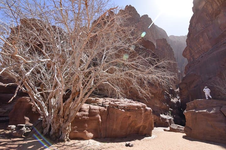 Half-Day Wadi Rum Jeep and Camel Tour with Sandboarding photo 5