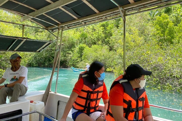 Bojo River Eco-Adventure: Mangrove Cruise, Snorkel & Capilla Santa Museum Day Tour photo 5