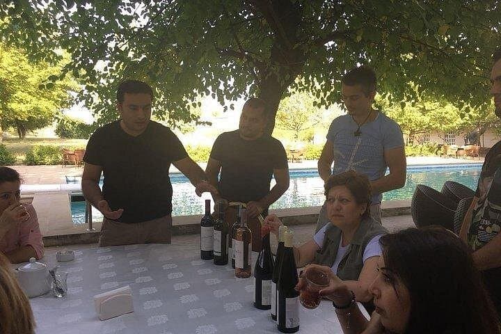 Gabala Aspi Winery Day Tour: Vineyard Walks, Tasting & Winemaking Insights from Baku photo 1