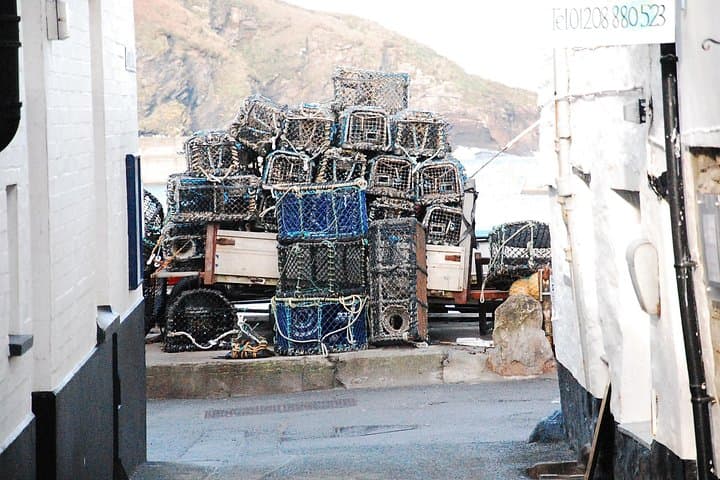 Port Isaac Doc Martin & Fisherman's Friends Walking Tour – Half-Day Private Experience photo 4
