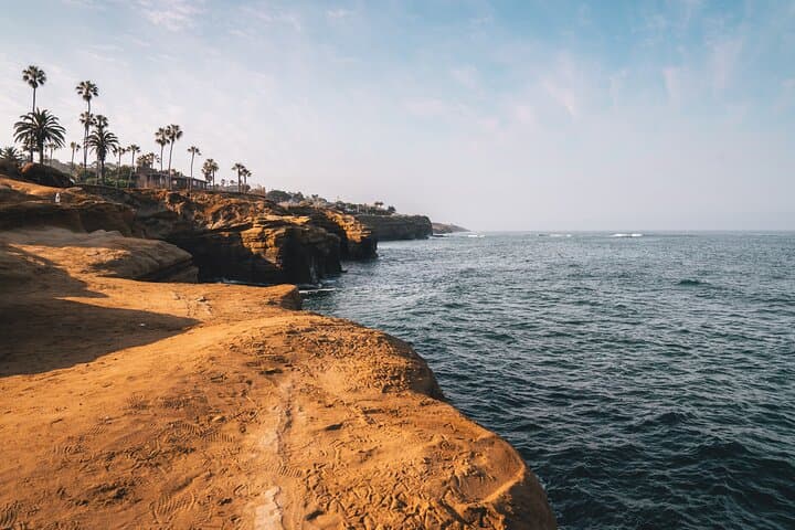 Private Half-Day San Diego Driving Tour: Little Italy, Balboa Park & Coastal Views photo 4