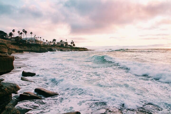 Private Half-Day San Diego Driving Tour: Little Italy, Balboa Park & Coastal Views photo 5