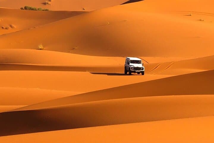 Dubai Full-Day Desert Safari: Dune Driving, Campfire Dinner & Cultural Shows photo 5