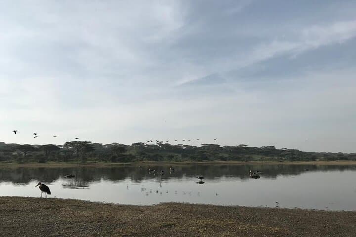 10-Day East Africa Safari: Maasai Mara, Serengeti & Ngorongoro Mid-Range Wildlife Circuit photo 4