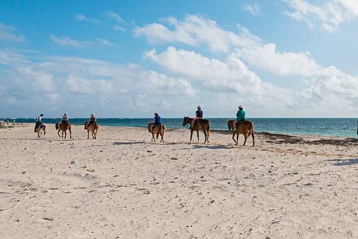 Private Horseback Riding on Conchal, Brasilito & Flamingo Beaches — 2-Hour Guided Coastal Ride photo 1