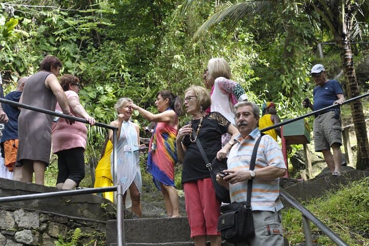 Annandale Waterfall & Forest Park — Family-Friendly Grenada Day Trip Guide photo 3