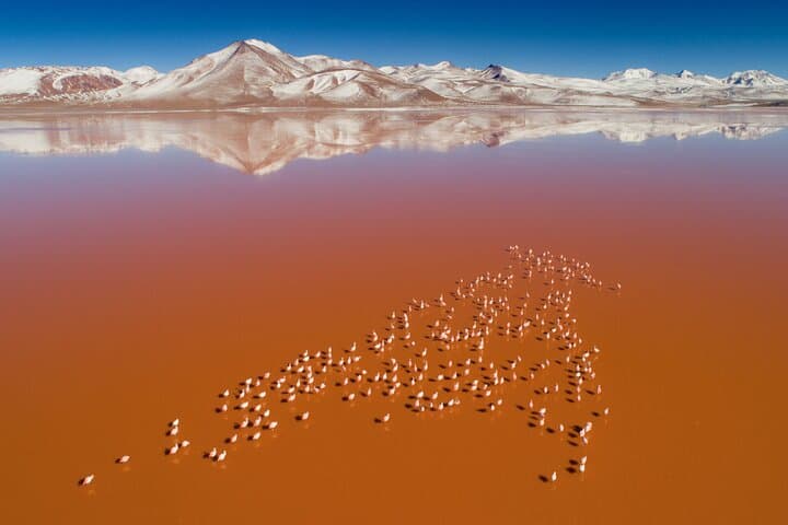 3-Day Uyuni Salt Flats & Colored Lagoons Tour — Sunset, Mirror & Hot Springs photo 1