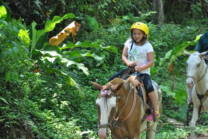 Horseback Riding Through Manuel Antonio's Jungle and Secret Waterfall photo 5