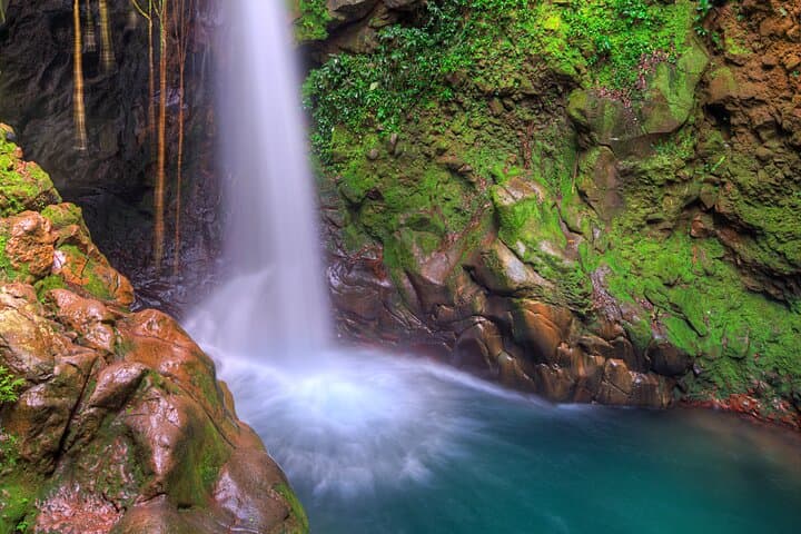 Rincón de la Vieja Adventure: Volcanic Mud Baths, Sulfur Springs & Oropéndola Waterfall photo 5