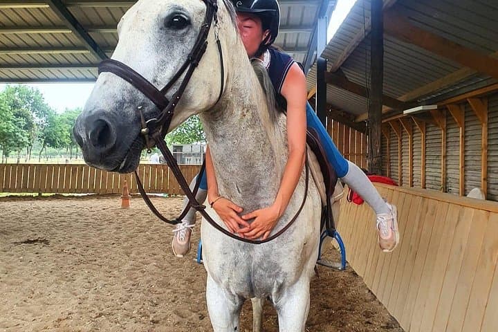 Horse & Pony 1-Hour Guided Ride at Domaine du Roiffe Near Lyon photo 2