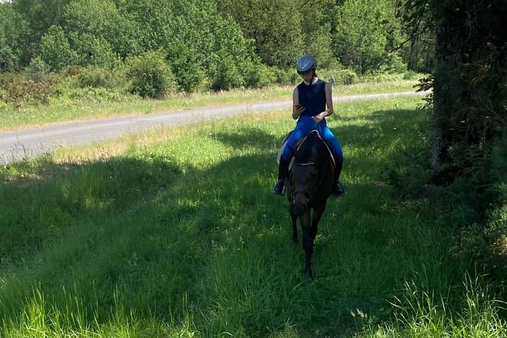 Horse & Pony 1-Hour Guided Ride at Domaine du Roiffe Near Lyon photo 4