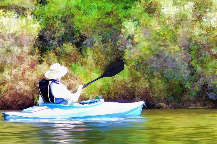 Goa Mangroves Kayaking at Spike's River — Otters, Birds & Tidal Trails photo 4