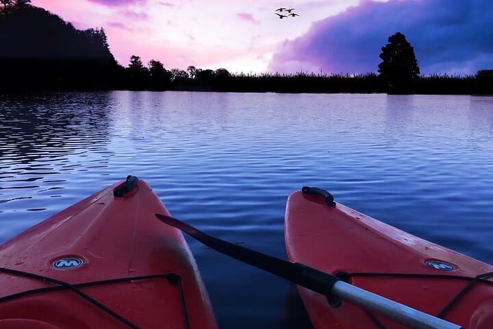 Goa Mangroves Kayaking at Spike's River — Otters, Birds & Tidal Trails photo 5