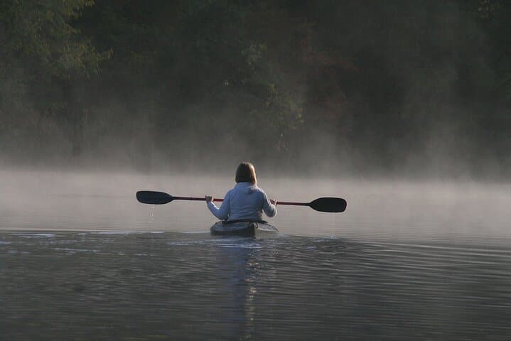 Goa Mangroves Kayaking at Spike's River — Otters, Birds & Tidal Trails photo 6