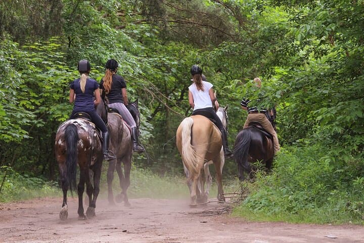 Kusadasi Horseback Riding: Pine-Forest & Beach Trail Ride with Transfer photo 4