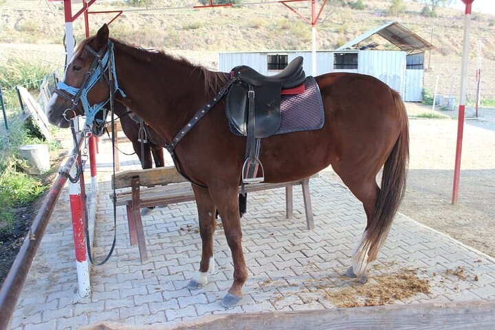 Kusadasi Horseback Riding: Pine-Forest & Beach Trail Ride with Transfer photo 6