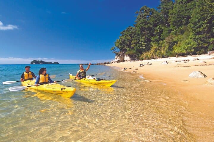 Abel Tasman Seal Sanctuary Kayak Tour from Marahau photo 2