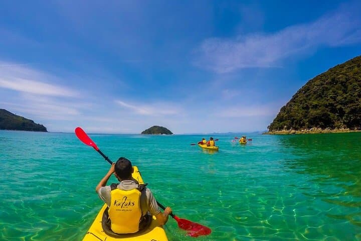 Abel Tasman Seal Sanctuary Kayak Tour from Marahau photo 3