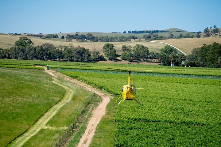 Southern Barossa Helicopter Flight — 10-Minute Scenic Tour from Hoffnungsthal
