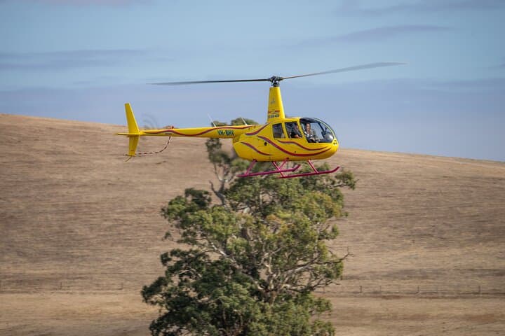 Barossa Valley Helicopter Flight: Western Ridge & Valley Floor (20-Minute) photo 5