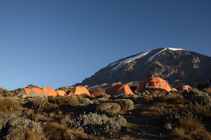 7-Day Kilimanjaro Climb via Machame Route — Machame to Uhuru Peak