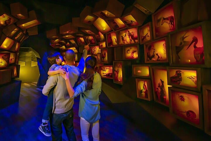 Exploring the Museum of the Bible: Washington DC's Interactive Bible Experience photo 3
