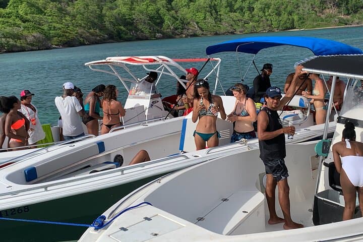 Full-Day Boat Excursion from Le Robert to Îlets, Joséphine Bath & Iguana Reserve