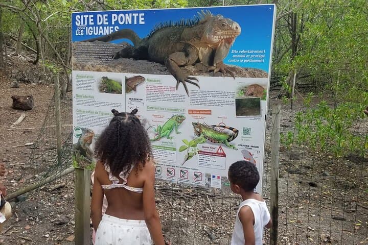 Full-Day Boat Excursion from Le Robert to Îlets, Joséphine Bath & Iguana Reserve photo 2