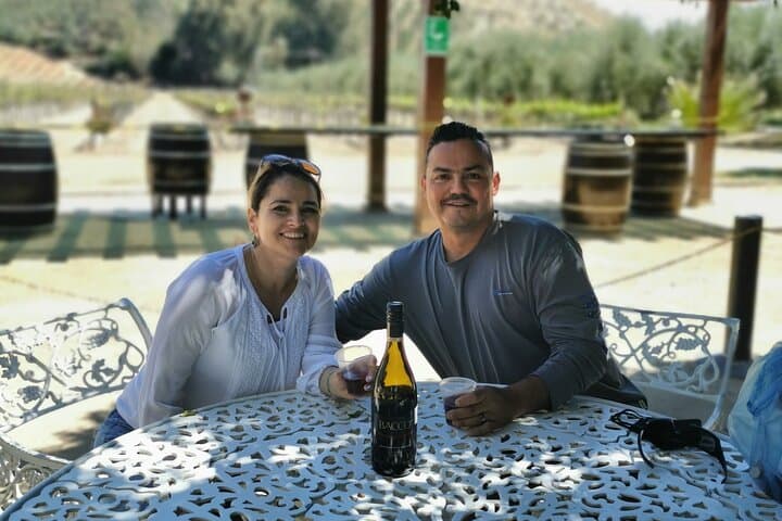 Valle de Guadalupe Wine Country Day Trip from San Diego: Tasting Tour and Local Eats photo 2