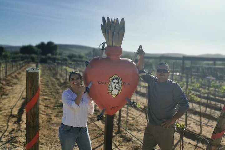 Valle de Guadalupe Wine Country Day Trip from San Diego: Tasting Tour and Local Eats photo 3