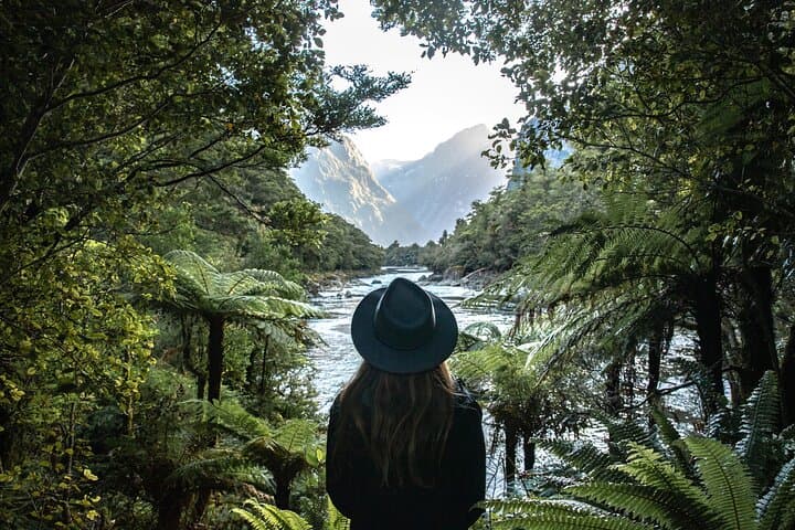 Milford Track Day Walk: Self-Guided Sandfly Point to Giant Gate Falls in Milford Sound photo 6