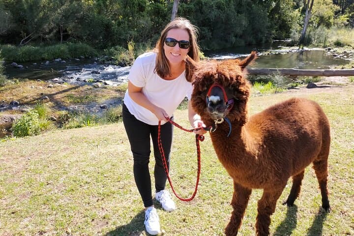 O'Reilly's Rainforest Retreat & Vineyard Day Tour from Gold Coast photo 6