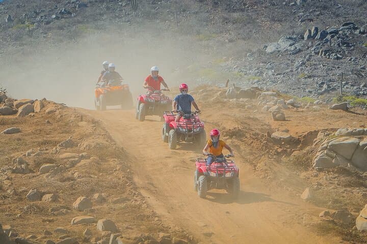 Cabo San Lucas Cactus Combo: ATV and Camel Ride Desert Adventure photo 4