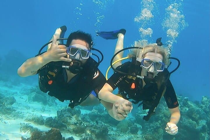 Private Afternoon Dive in Bora Bora — Private Boat & Instructor photo 4